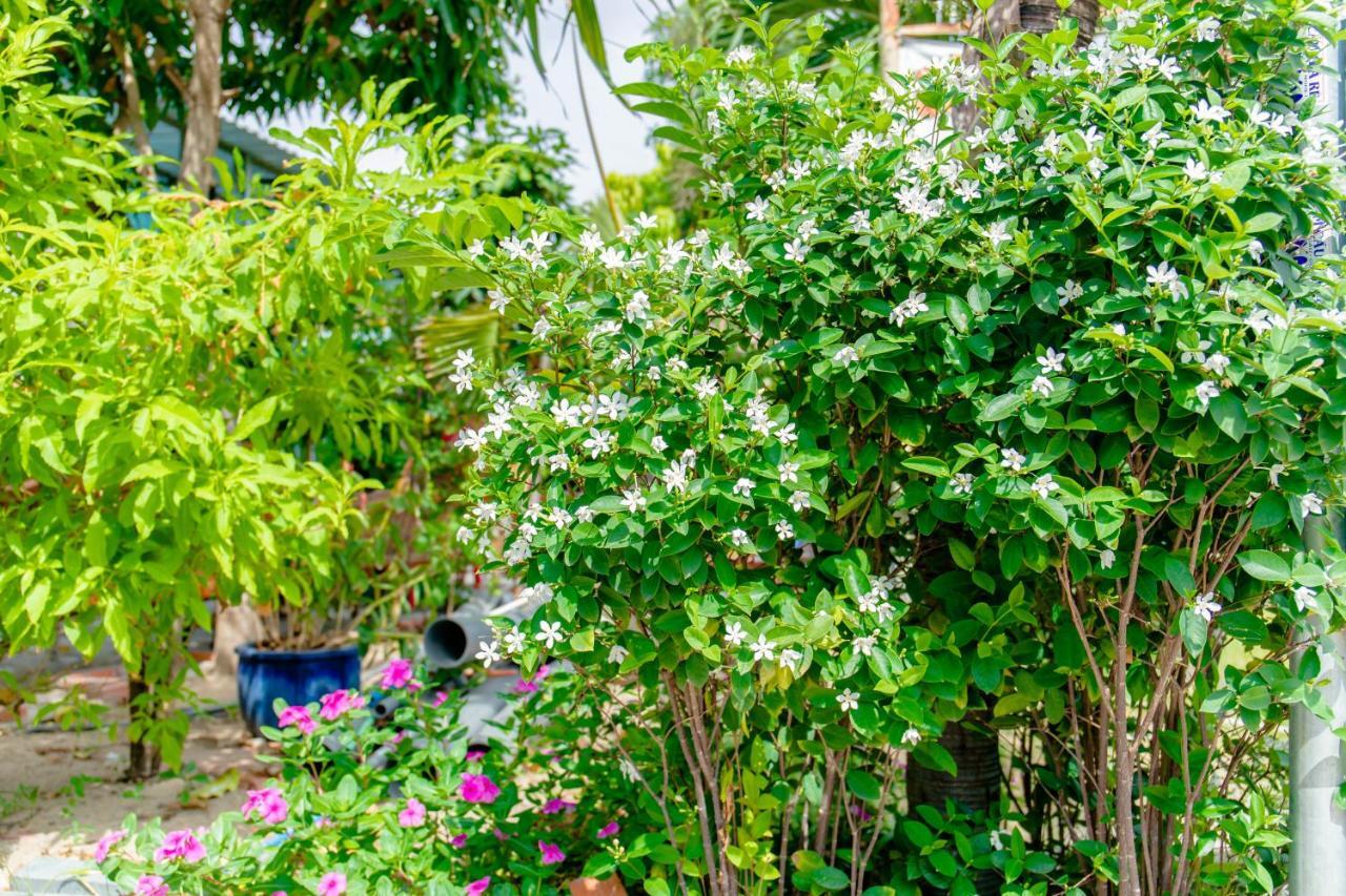 Song Huong Hotel Муйне Экстерьер фото